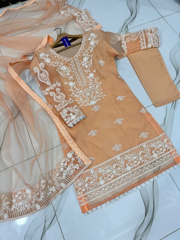 Lace Work On Long Shirt With Heavy Two Borders Embroidery Work On Dupatta - Image 4